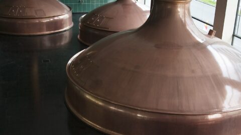 Boston Beer Names Samsung's Allison Stransky as Chief Marketing Officer